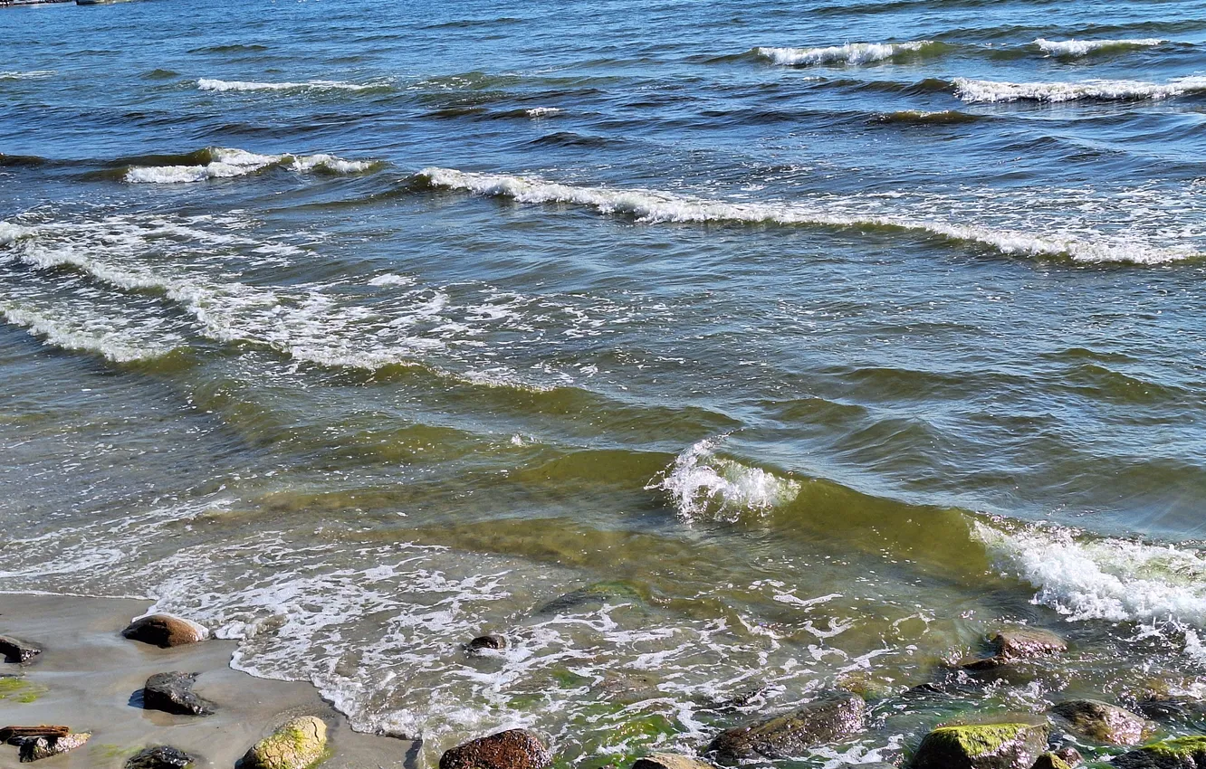 Photo wallpaper Sea, beach, speak