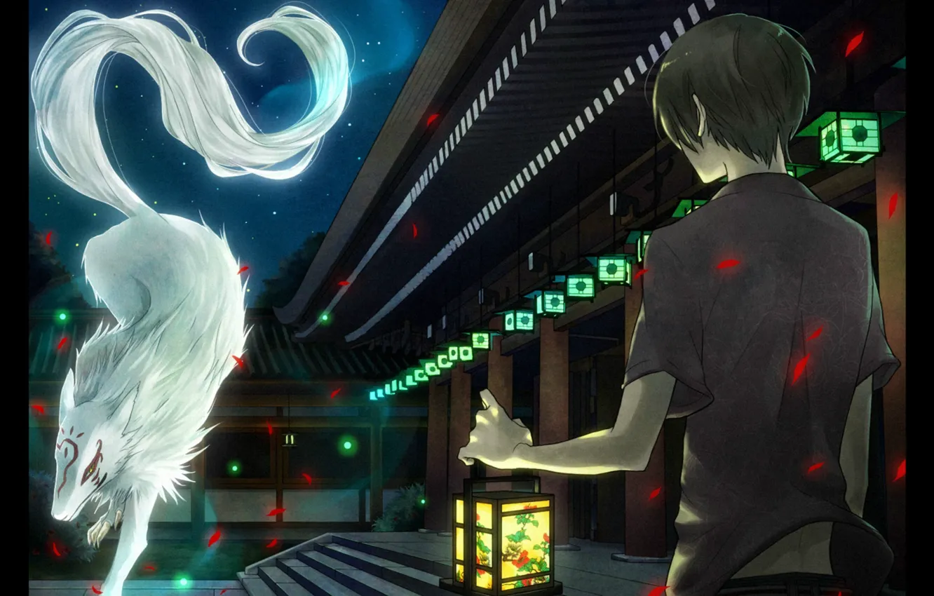 Photo wallpaper night, meeting, boy, lights, Natsume Yuujinchou, Madara, white wolf, Natsume Takashi