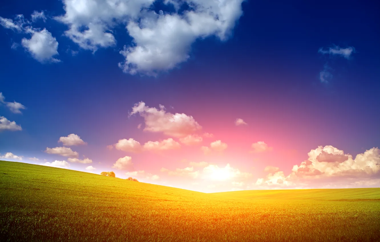 Photo wallpaper field, the sky, grass, the sun, clouds, dawn