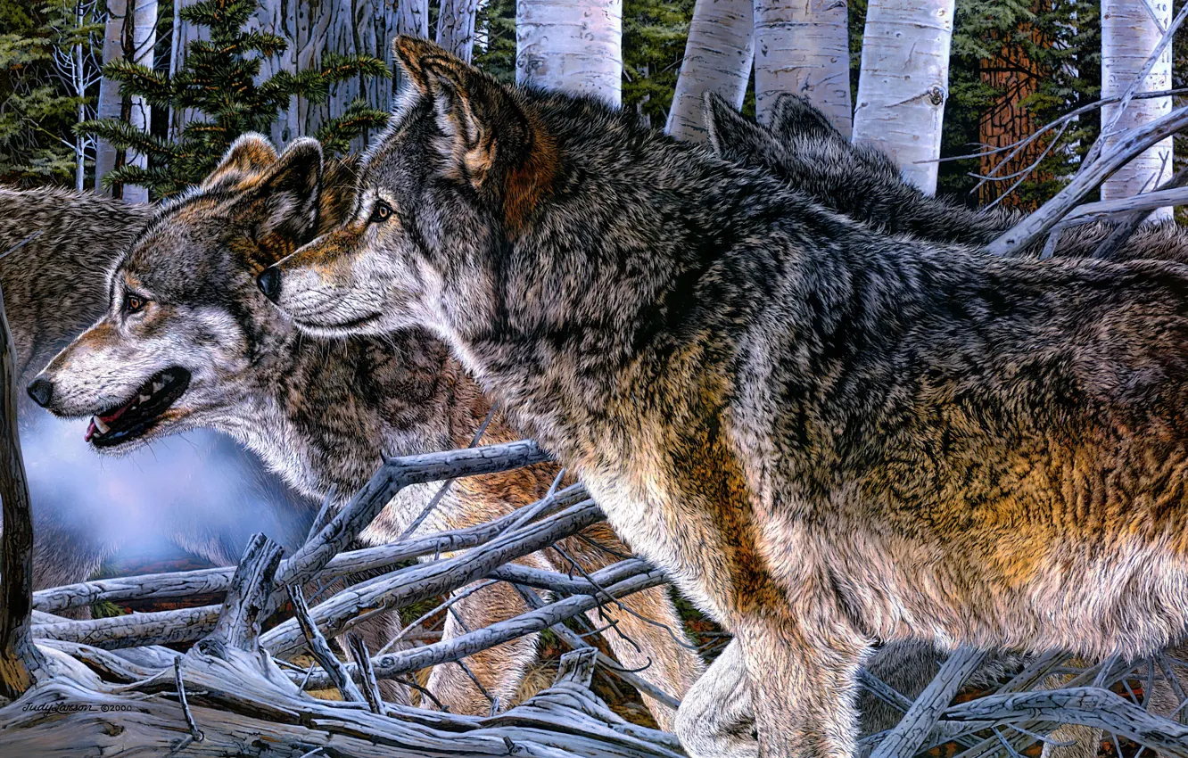 Photo wallpaper forest, look, figure, pack, picture, art, wolves, profile