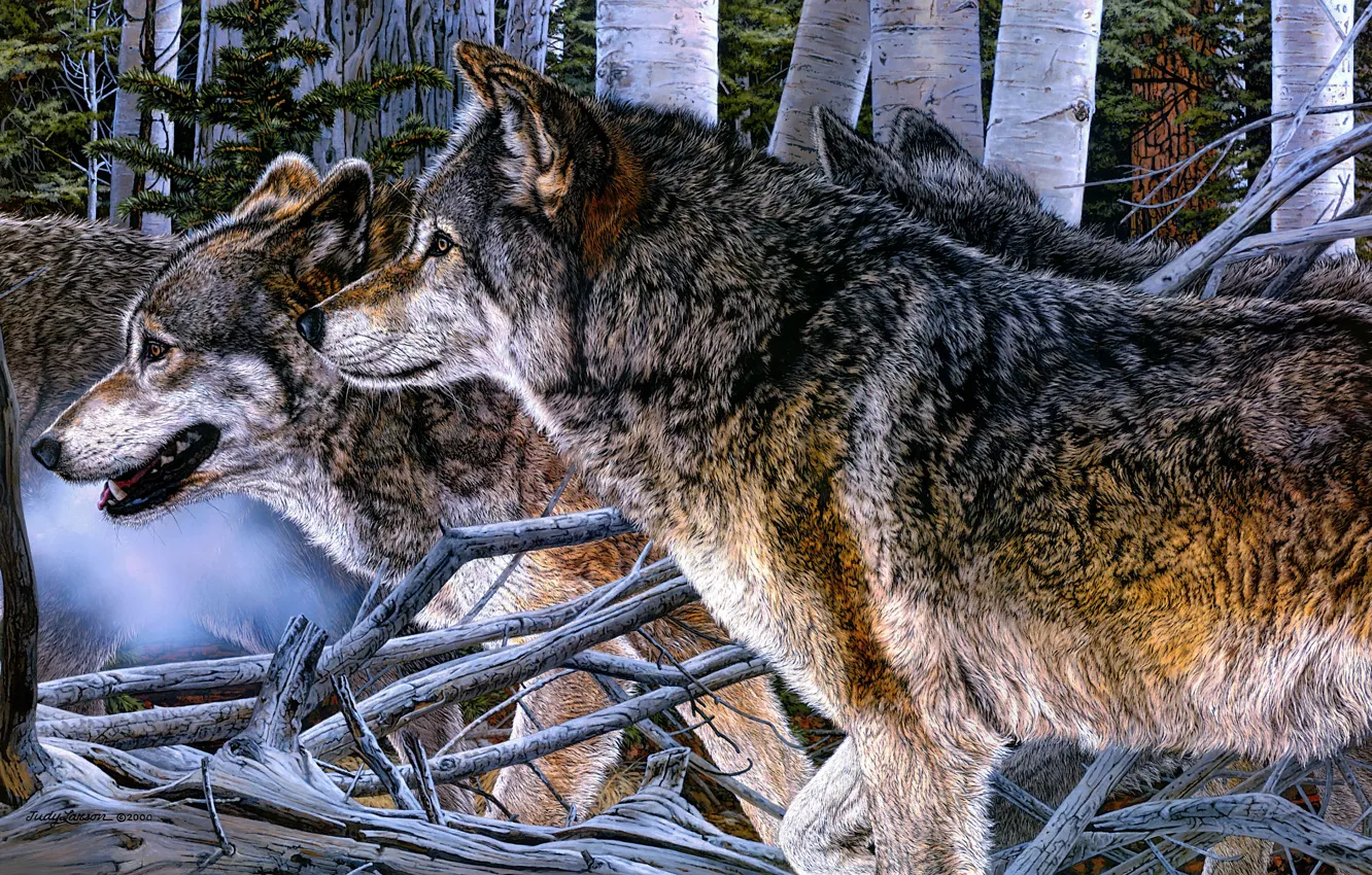 Photo wallpaper forest, look, face, figure, wolf, pack, picture, art