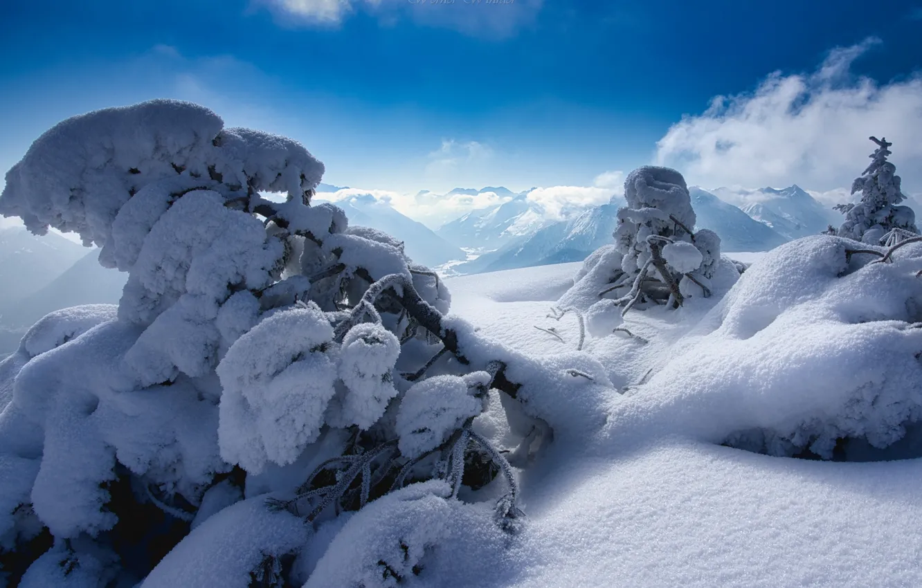 Photo wallpaper winter, clouds, snow, trees, landscape, mountains, nature, Austria