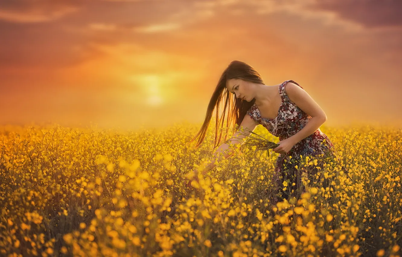 Photo wallpaper field, girl, rape