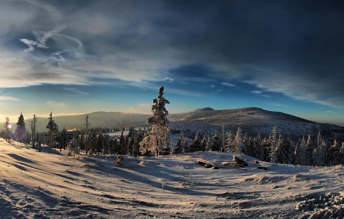 Photo wallpaper winter, forest, the sky, mountains
