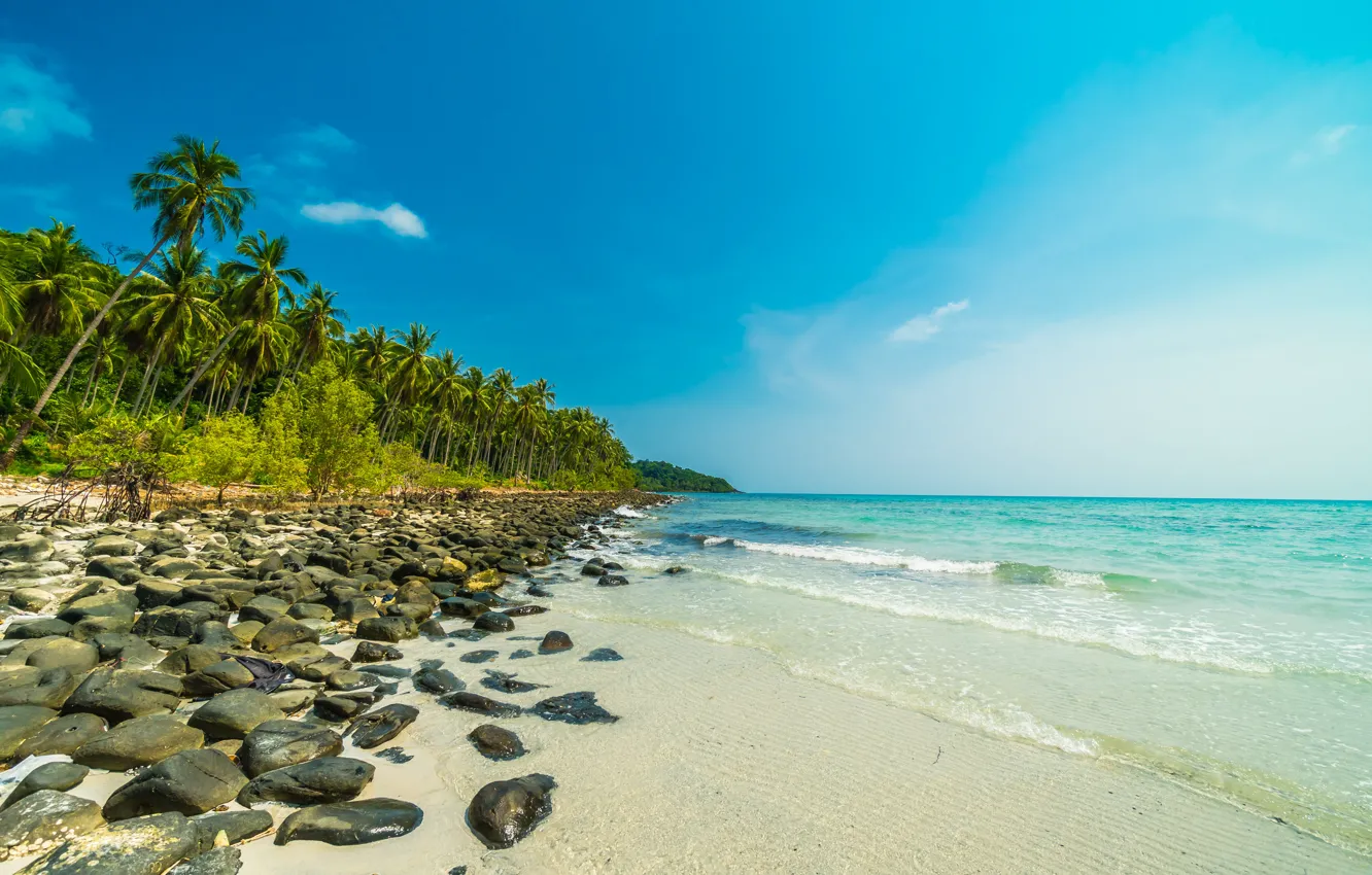 Photo wallpaper sand, sea, wave, beach, summer, the sky, palm trees, shore