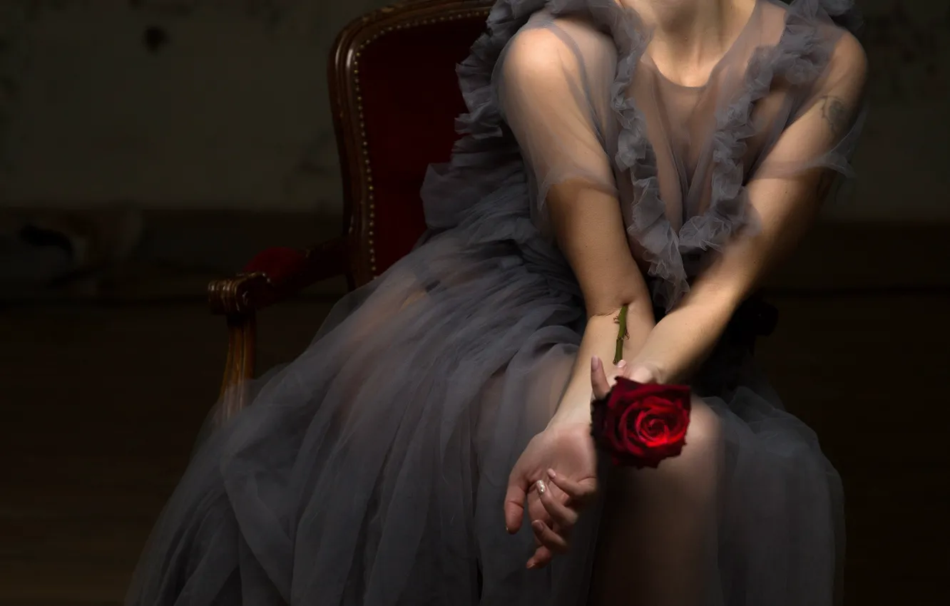 Photo wallpaper girl, roses, chair, hands, dress