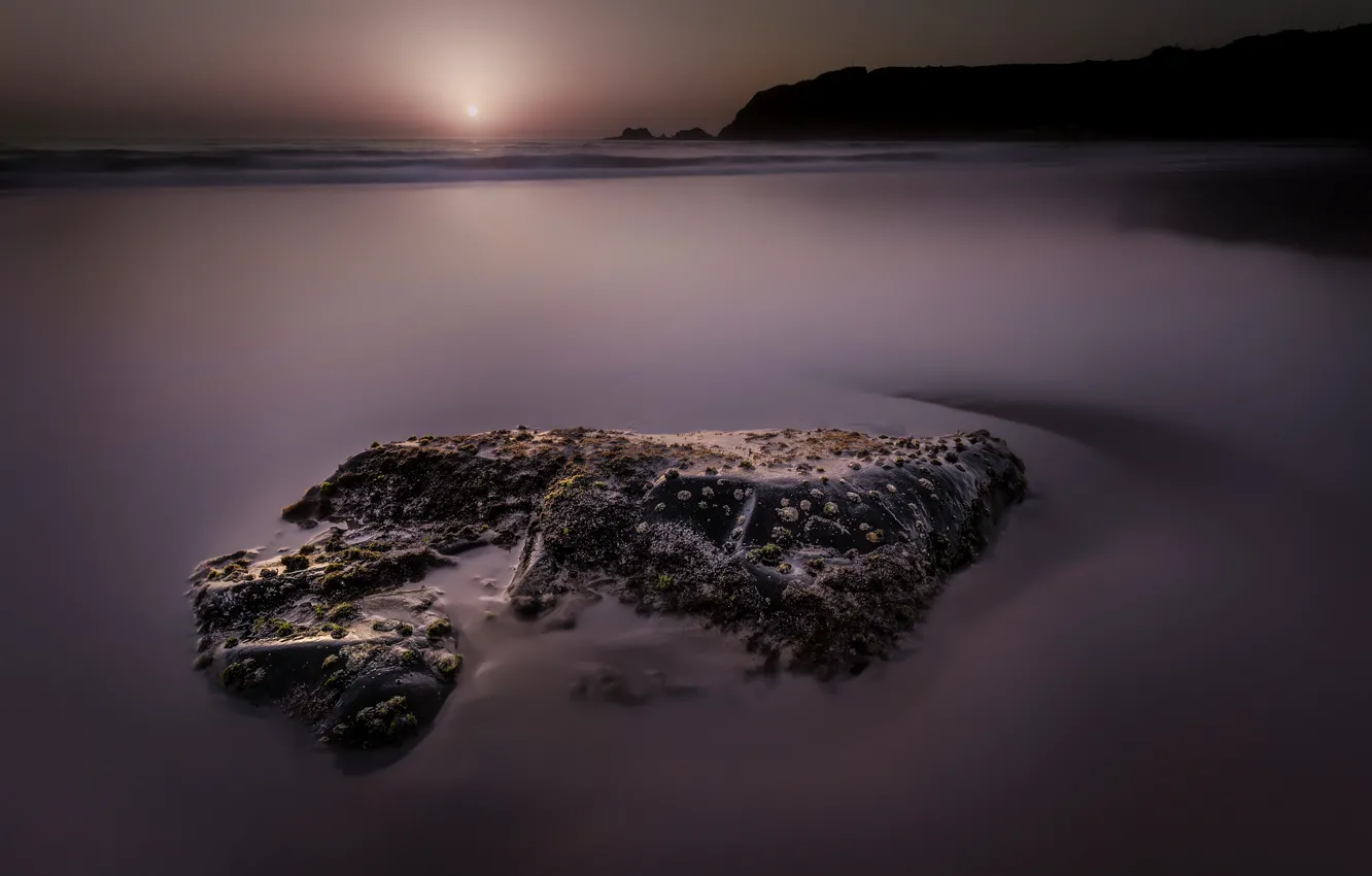 Photo wallpaper sea, beach, the sun, algae, stones, morning
