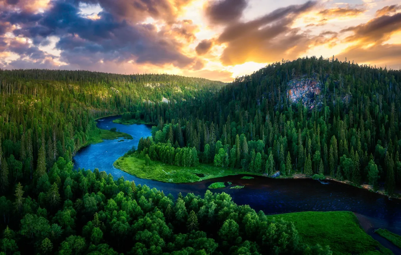 Photo wallpaper forest, summer, nature, river