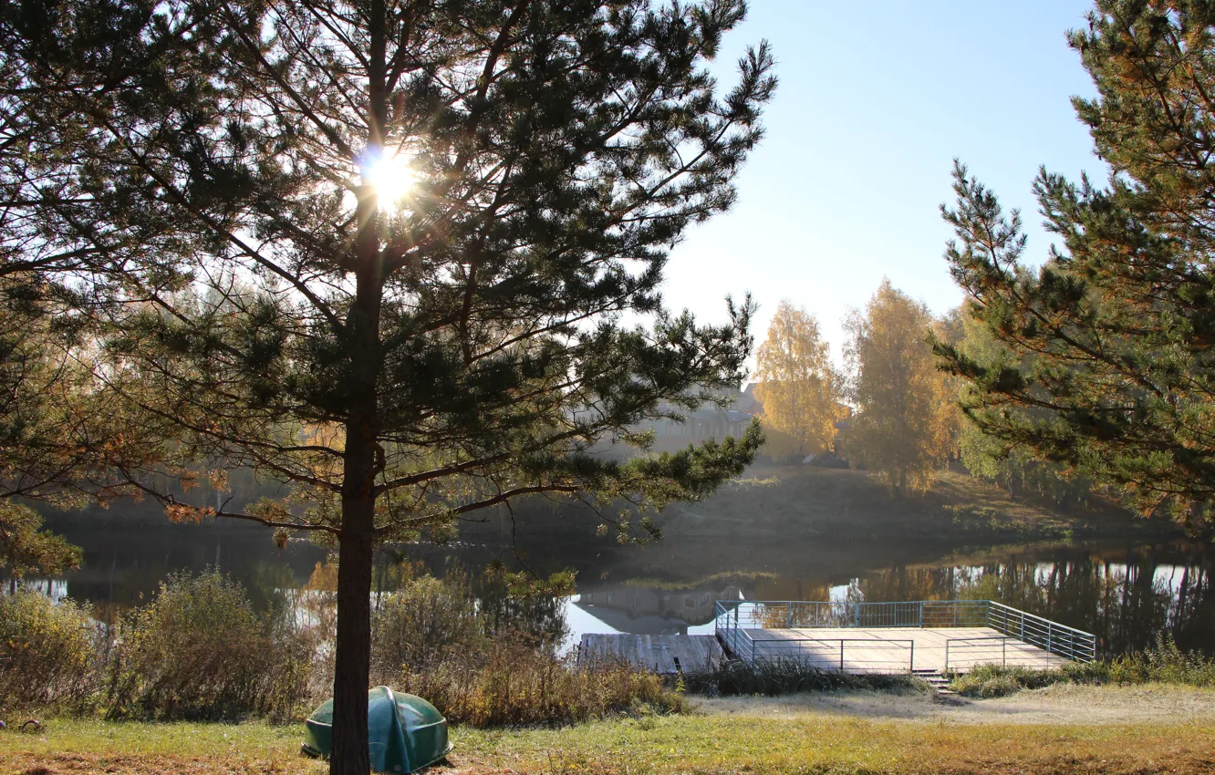 Photo wallpaper the sun, lake, pine