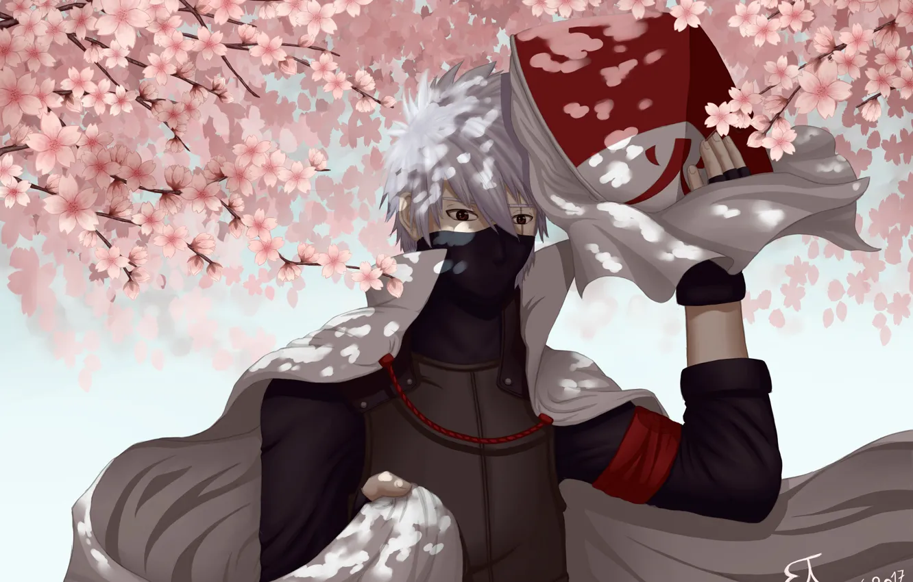 Photo wallpaper Sakura, flowering, naruto, art, Hatake Kakashi, by Jellyfishdream, rokudaime hokage