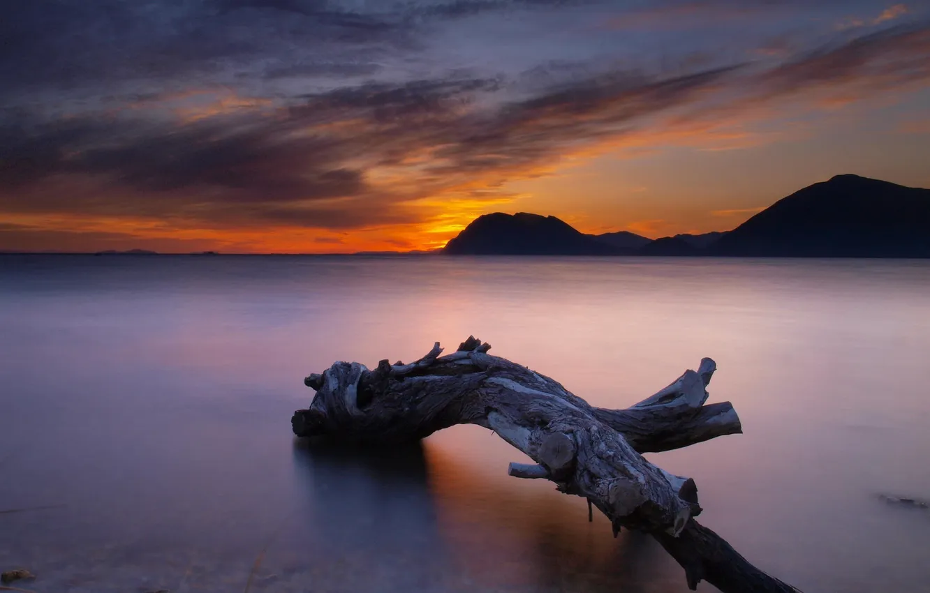 Photo wallpaper trees, landscape, sunset, lake, twilight