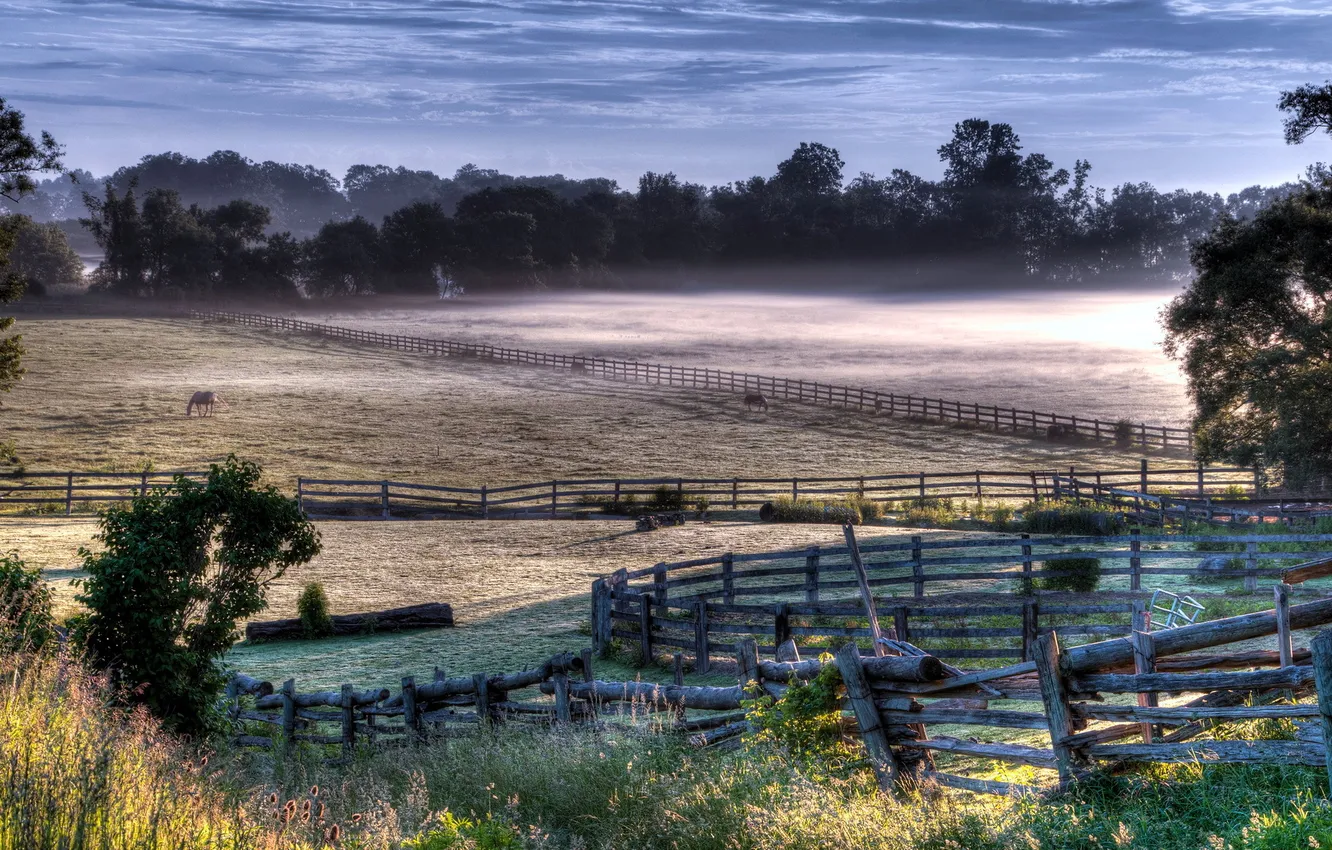 Photo wallpaper field, landscape, fog, horse, the fence, morning