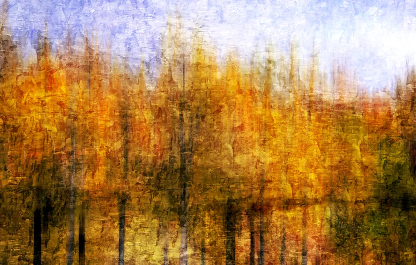 Photo wallpaper style, color, texture