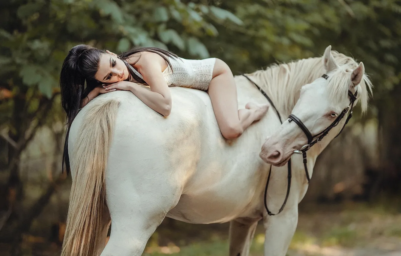 Photo wallpaper look, lies, horse, top, white, girl, ass, horse