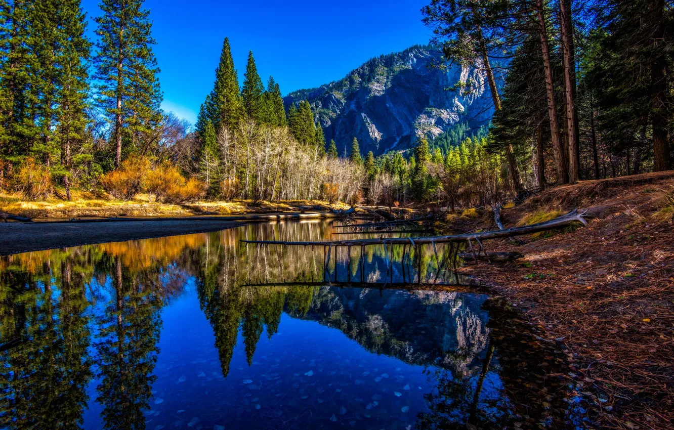 Photo wallpaper trees, mountains, river, shore, tops, USA, Yosemite national park, Yosemite national Park