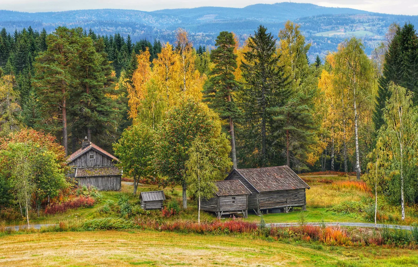 Photo wallpaper field, autumn, forest, trees, mountains, village, houses