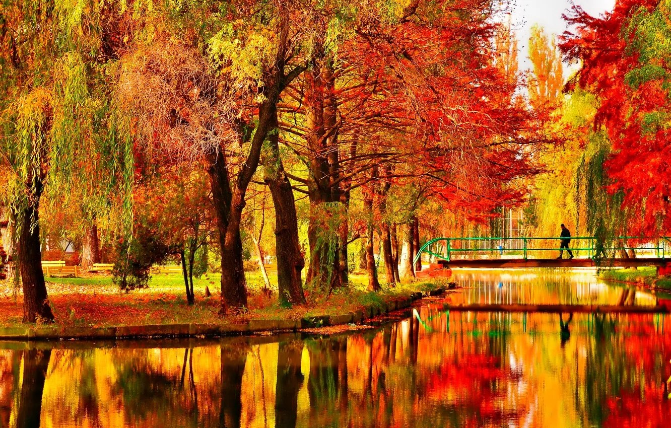 Photo wallpaper autumn, trees, bridge, pond, Park