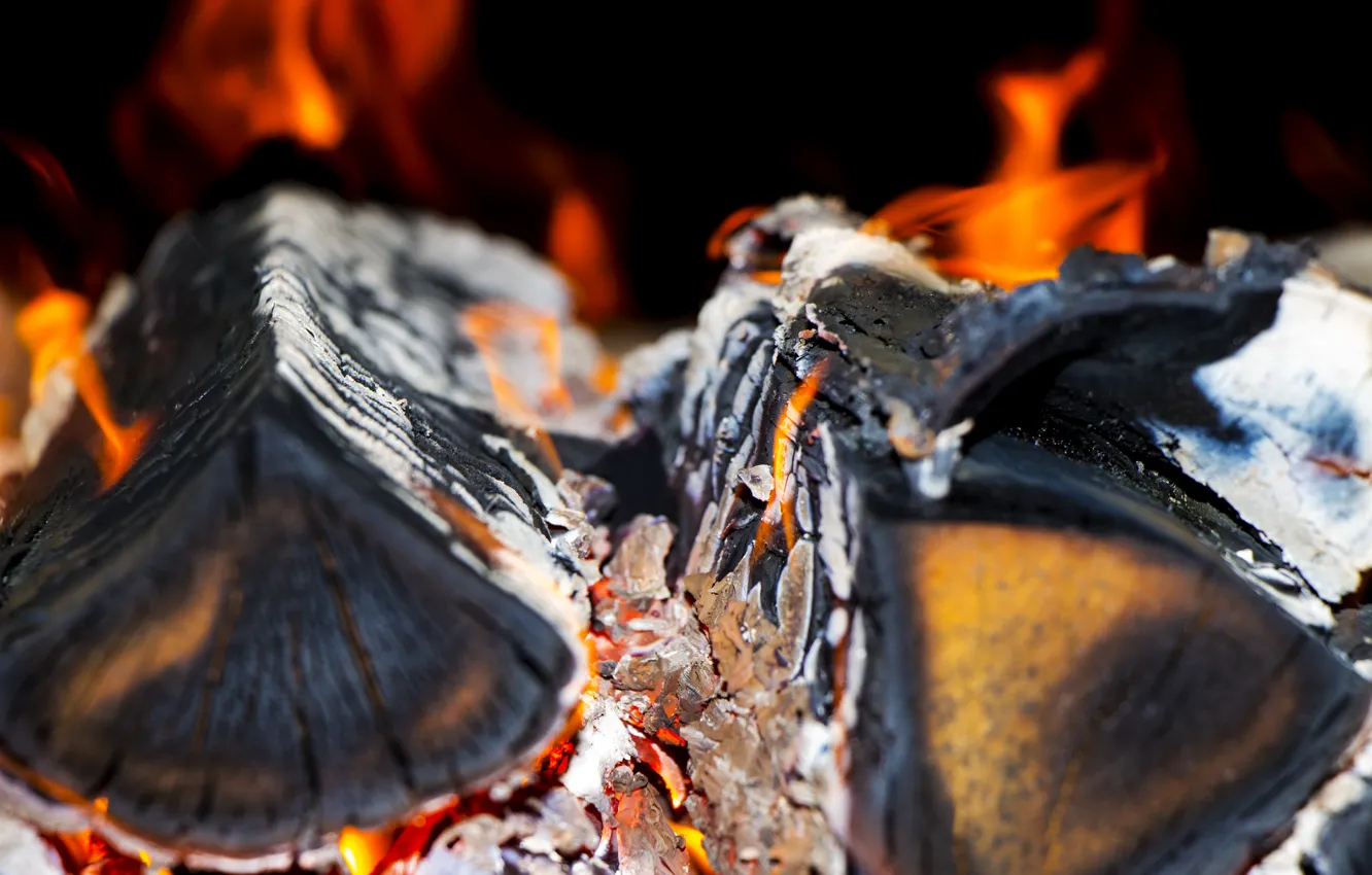 Photo wallpaper lights, wood, oven, ashes.