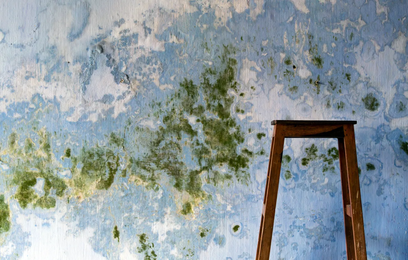 Photo wallpaper background, wall, chair