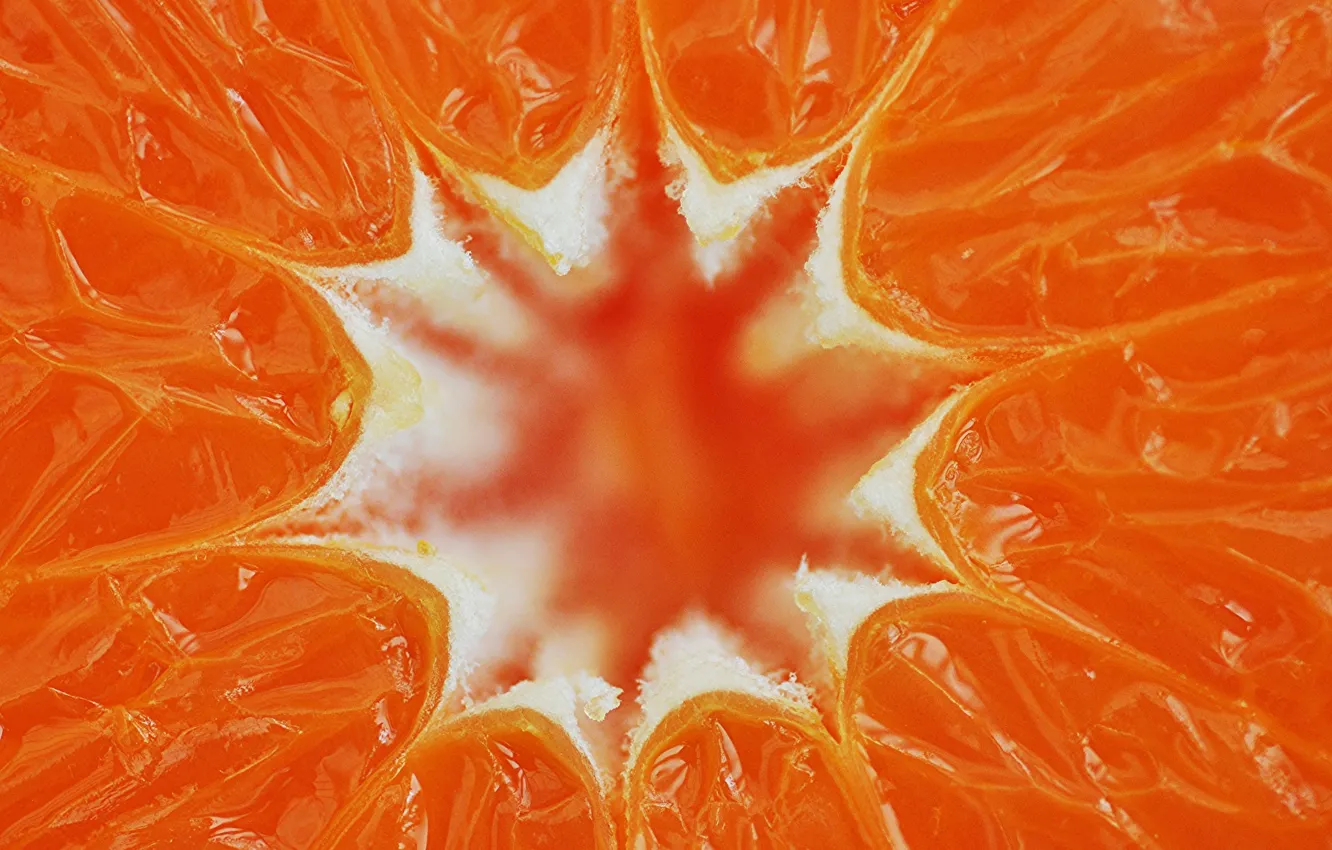Photo wallpaper orange, food, fruit, citrus