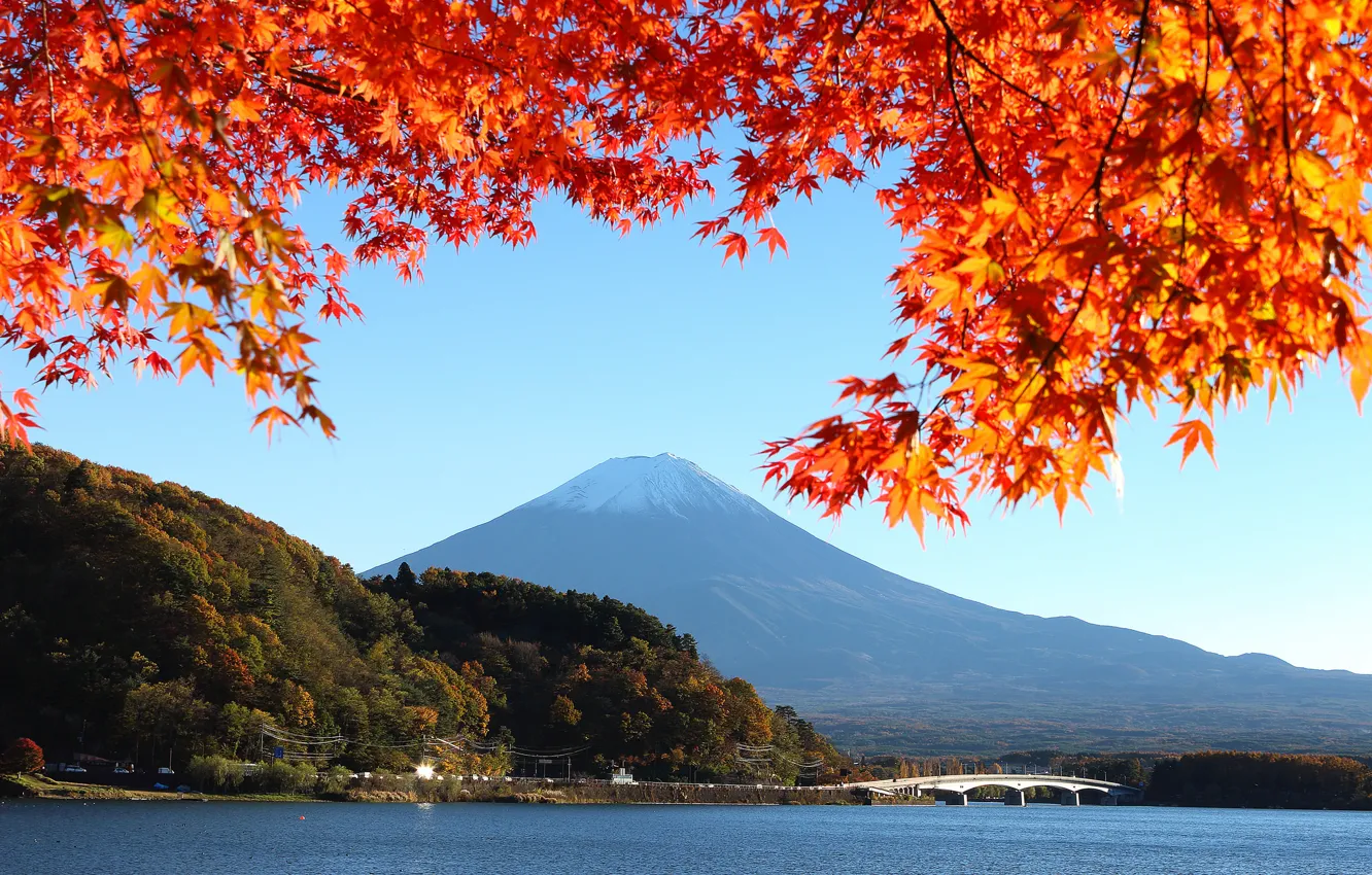 Photo wallpaper autumn, the sky, leaves, trees, bridge, lake, Japan, mount Fuji