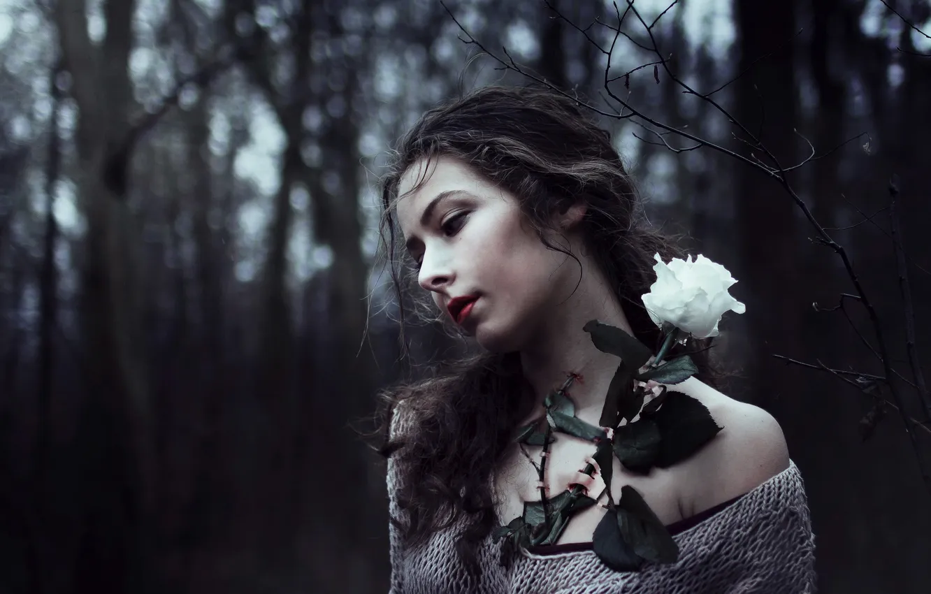 Photo wallpaper girl, flowers, roses