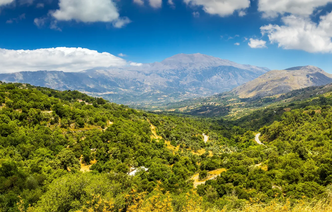 Photo wallpaper forest, the sky, clouds, mountains, island, Greece, Crete, Crete