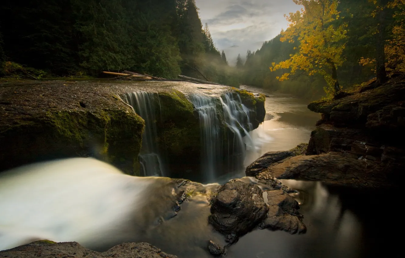 Photo wallpaper trees, landscape, river, stones, the flow of water