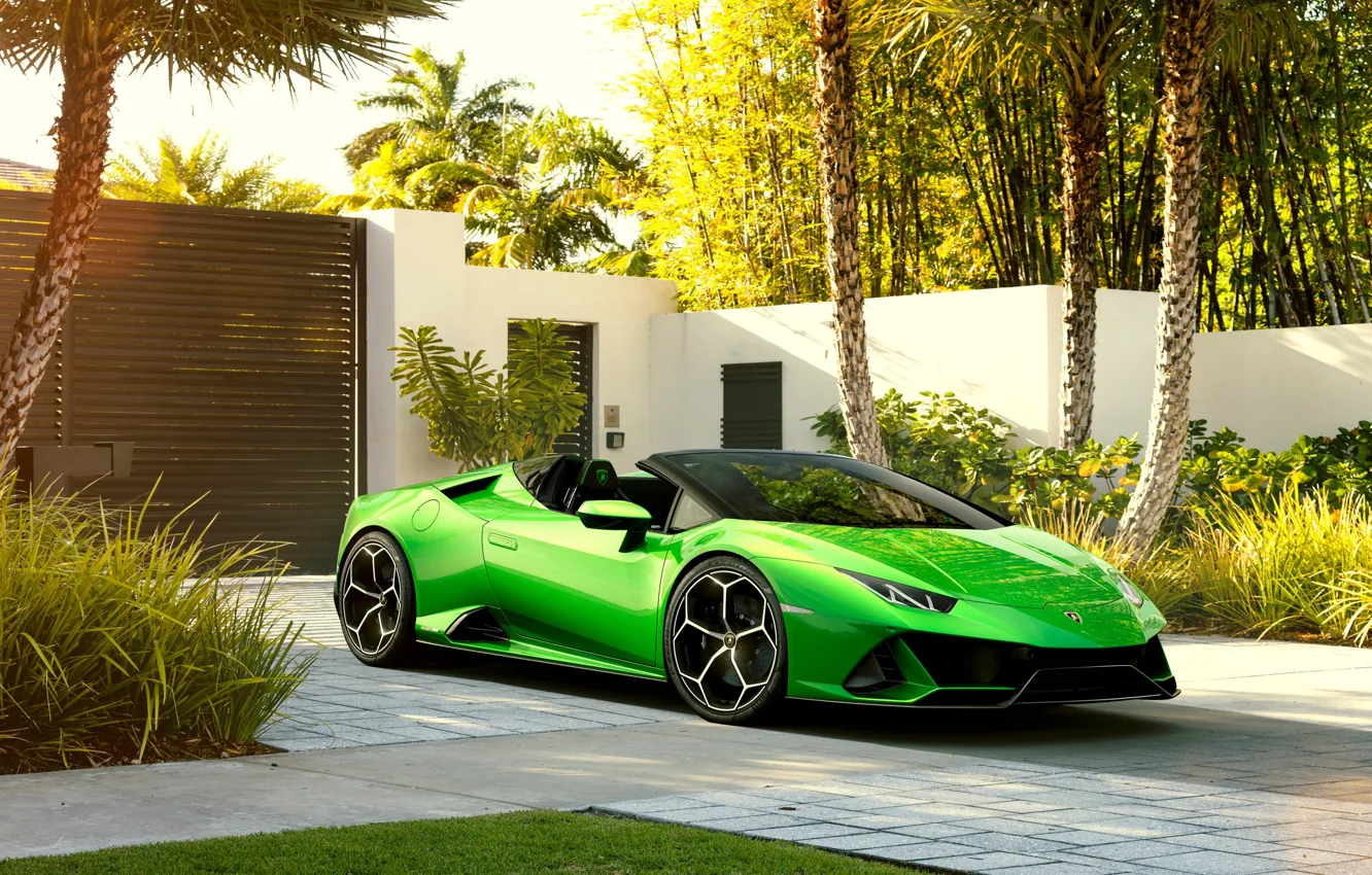 Photo wallpaper machine, palm trees, Lamborghini, sports car, Spyder, Evo, Huracan