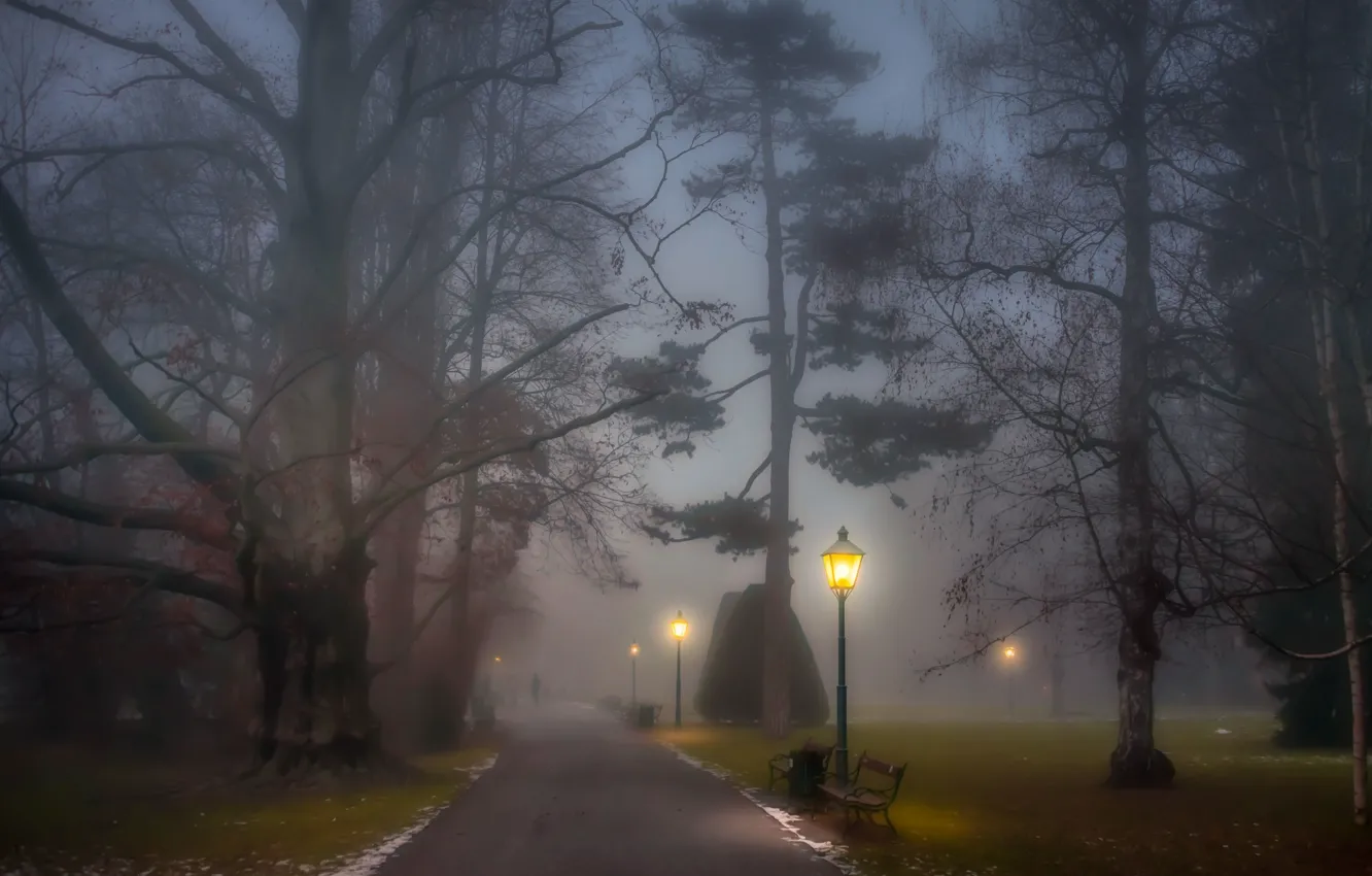 Photo wallpaper fog, lights, Park, alley