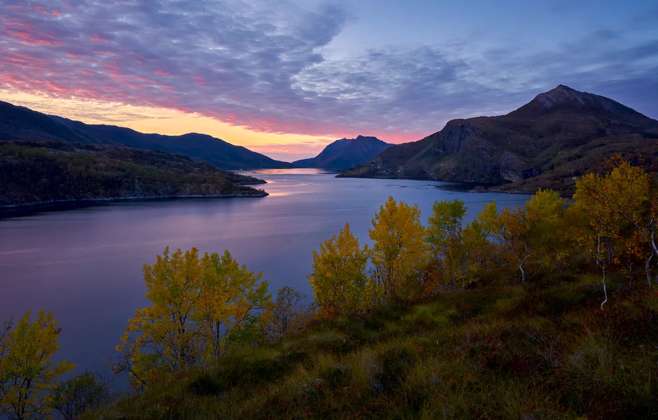 Photo wallpaper grass, river, sky, trees, landscape, nature, water, mountains