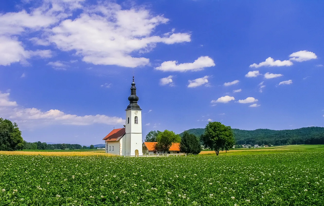 Photo wallpaper field, the sky, clouds, trees, Church, Slovenia, Slovenia, Church. James