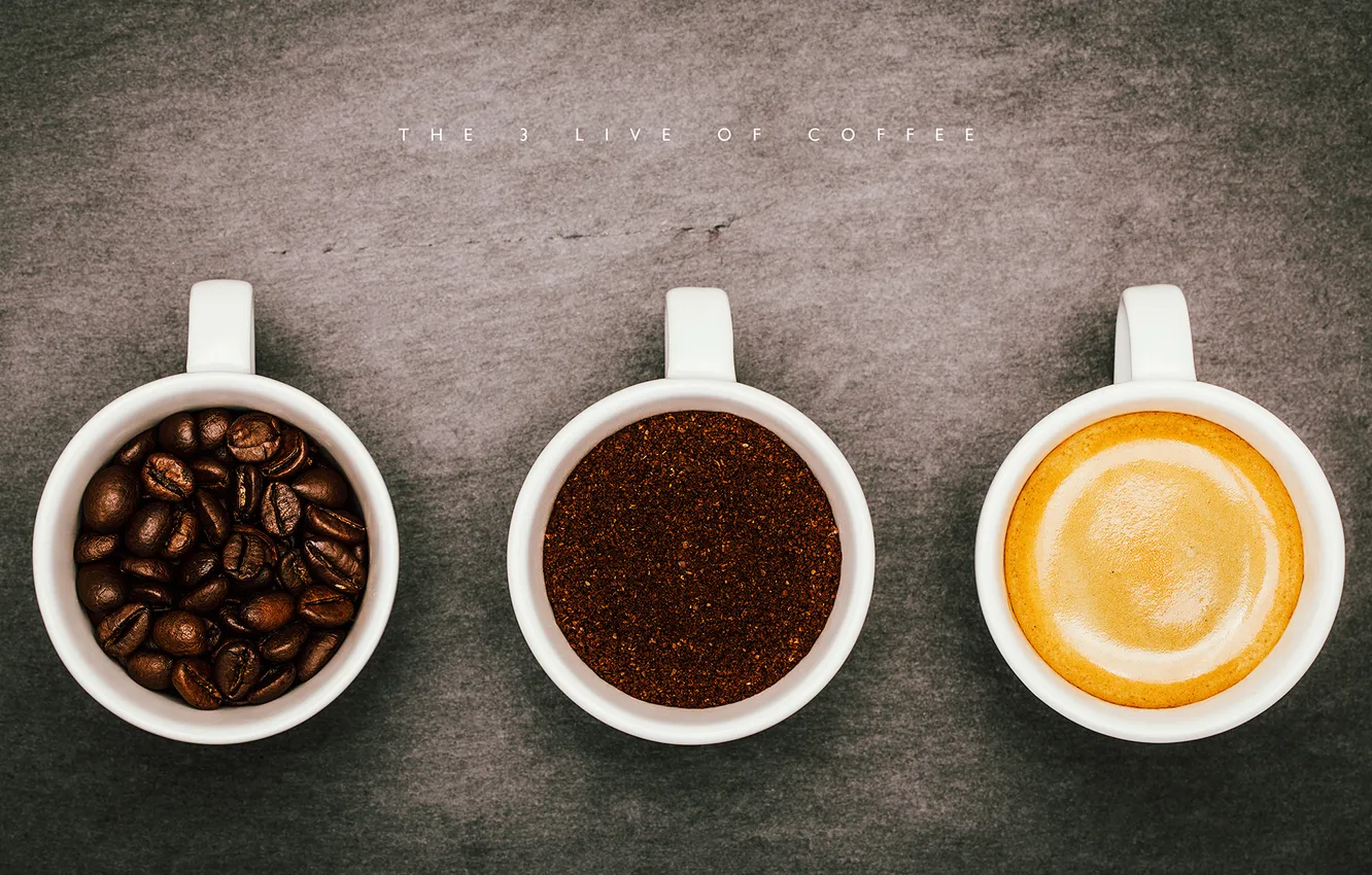 Photo wallpaper macro, coffee, photographer, photography, photographer, macro, Björn Wunderlich