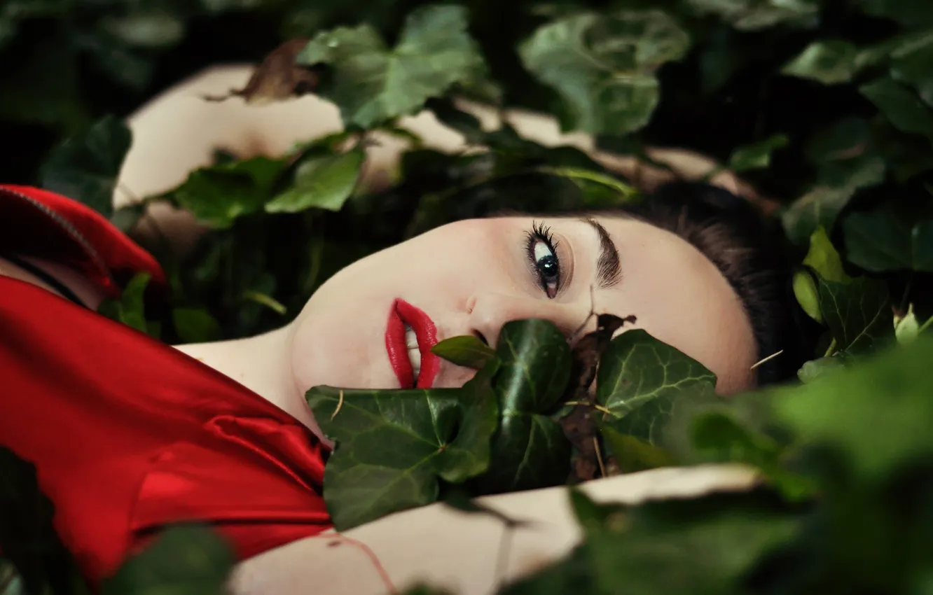 Photo wallpaper look, leaves, girl, face, hair, makeup, lies, red lips