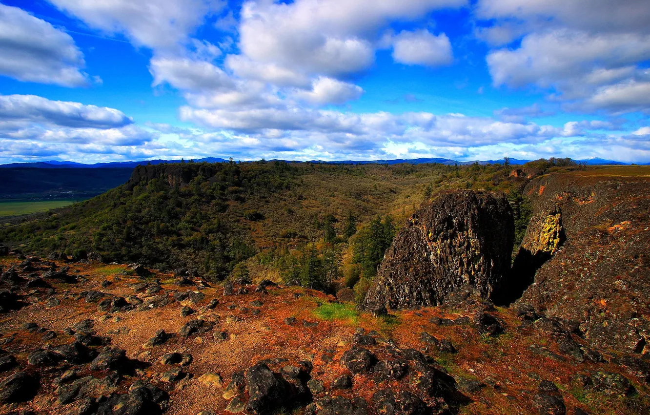 Photo wallpaper forest, summer, the sky, clouds, mountains, nature, rocks, horizon