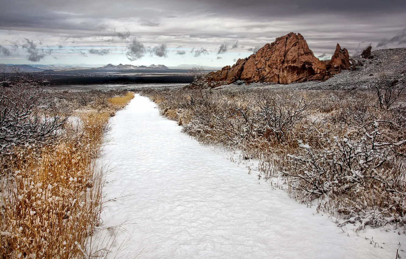Photo wallpaper field, snow, nature