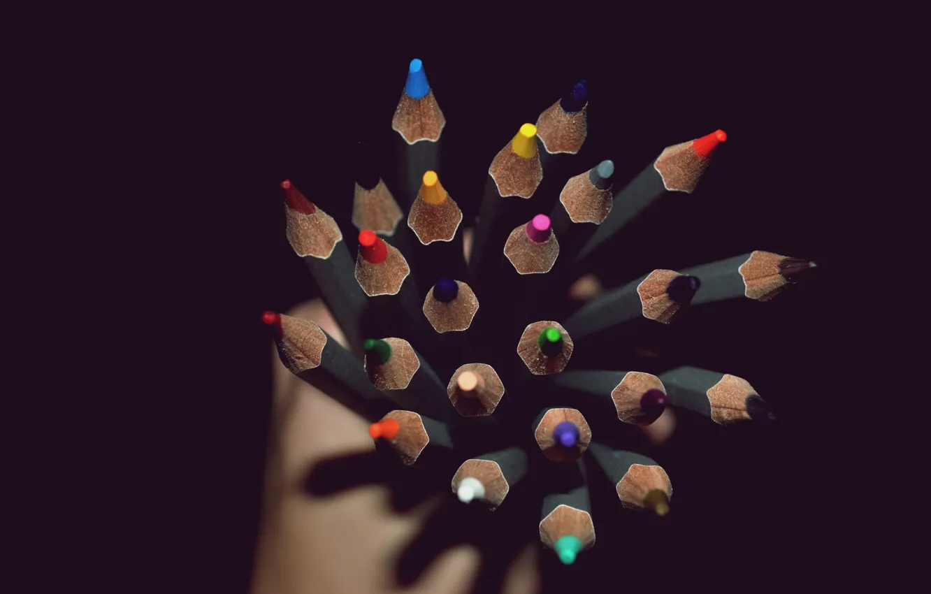 Photo wallpaper photo, pencils, different