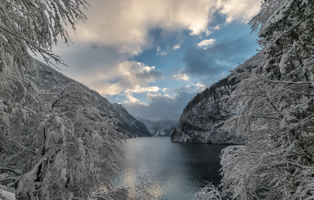 Photo wallpaper winter, snow, trees, mountains, branches, lake, Germany, Bayern