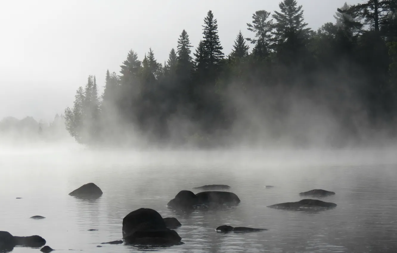Photo wallpaper Fog, Lake, Forest, Morning, Nature, Landscape, Morning, Fog