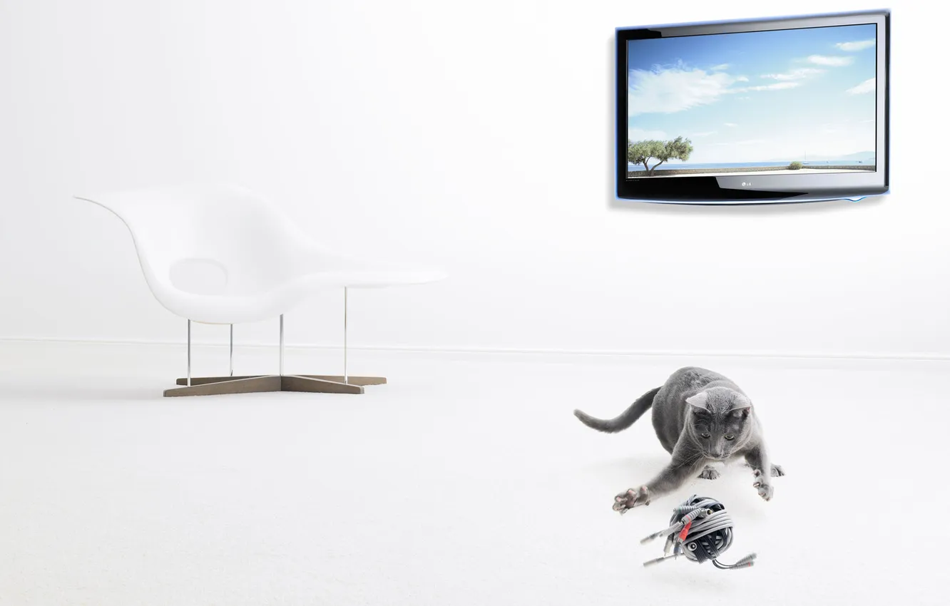 Photo wallpaper cat, tangle, wire, chair, screen, image