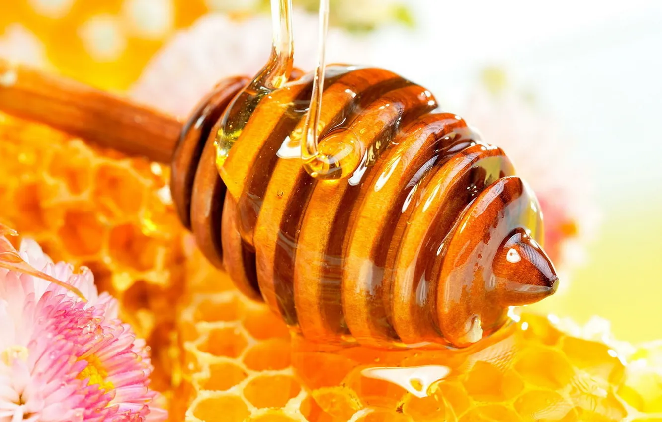 Photo wallpaper cell, honey, floral