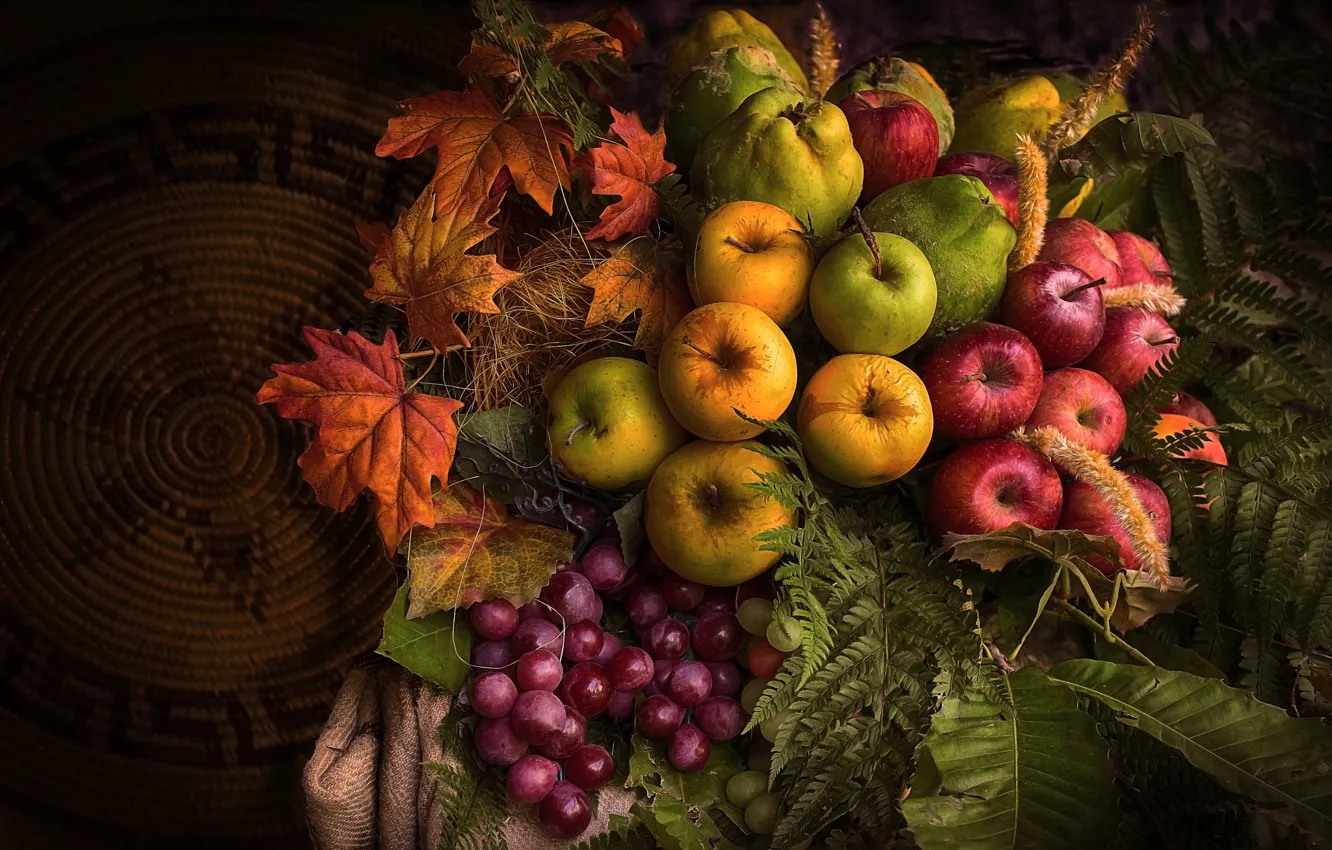Photo wallpaper autumn, leaves, the dark background, apples, yellow, harvest, grapes, red