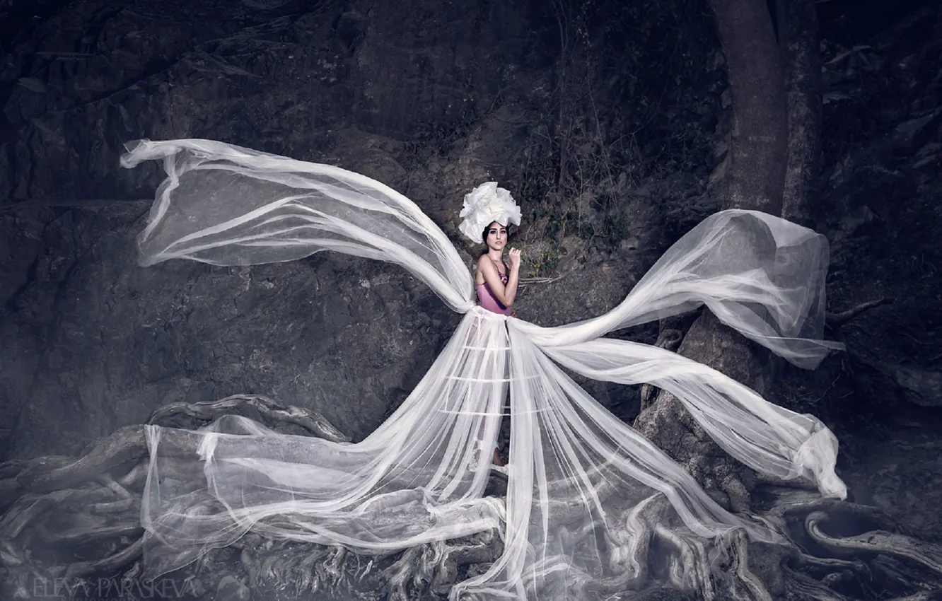 Photo wallpaper white, trees, dress, fabric