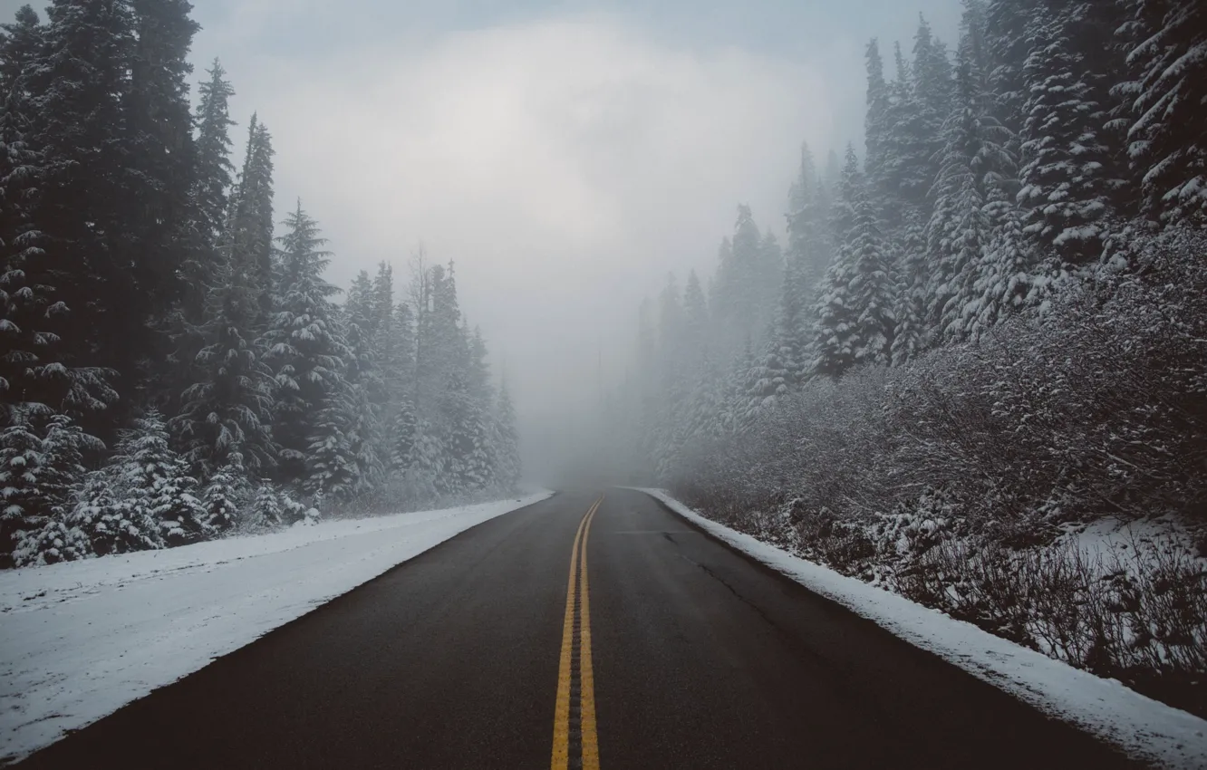 Photo wallpaper winter, road, forest, snow, nature, fog, haze