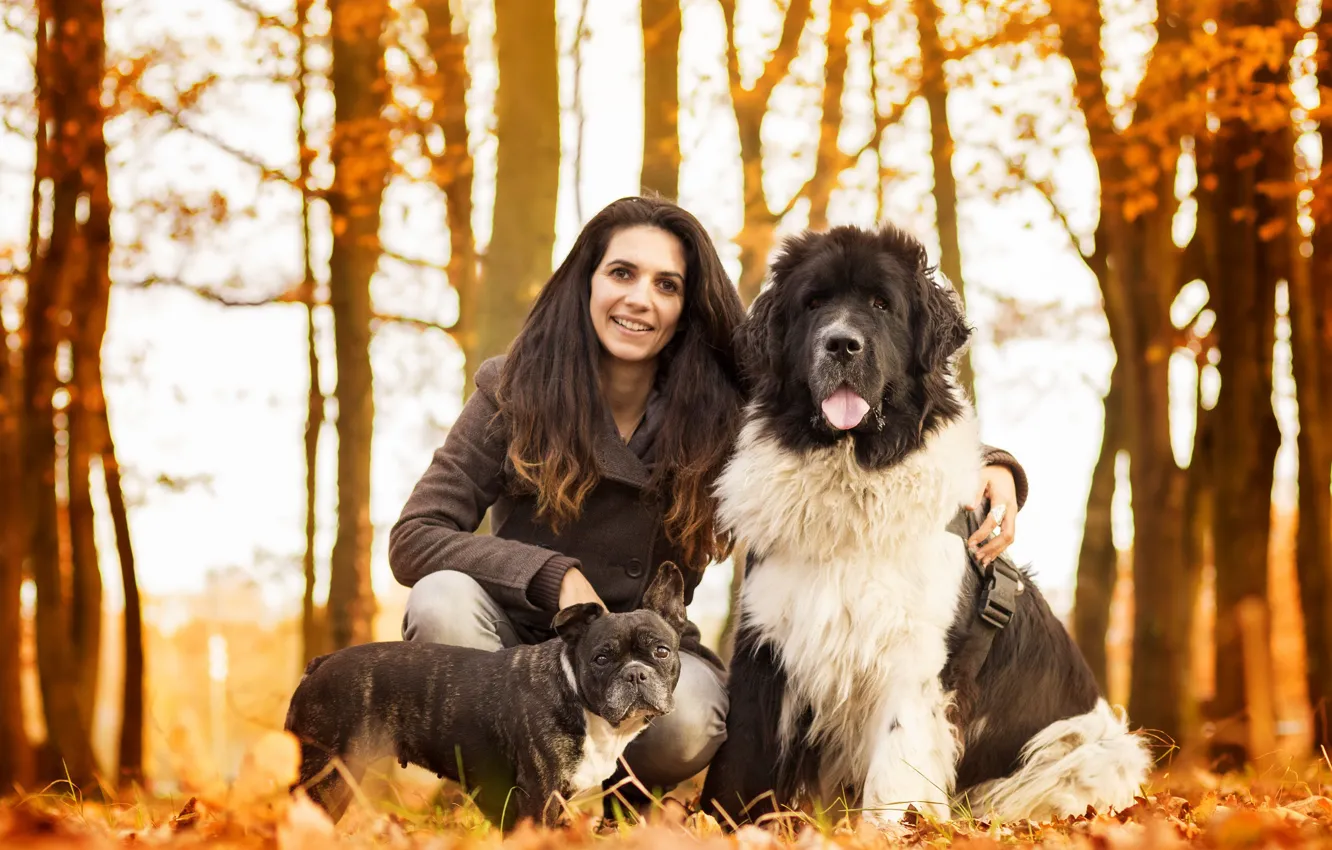 Photo wallpaper autumn, woman, dog