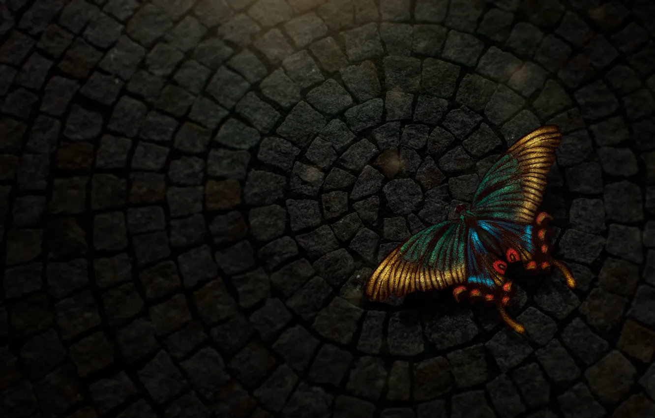 Photo wallpaper butterfly, light, digital, texture, art, butterfly