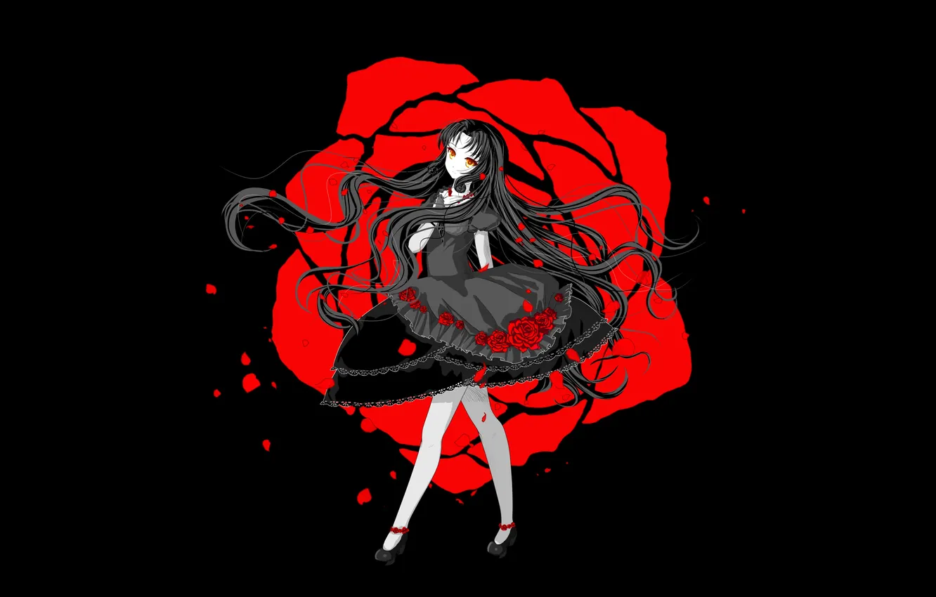 Photo wallpaper look, girl, roses, anime, petals, dress, black background
