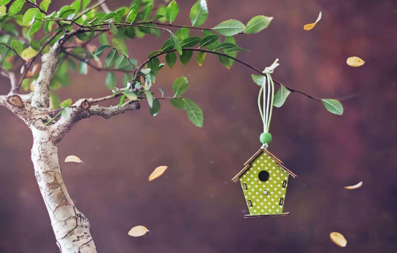Photo wallpaper trees, house, Bird house