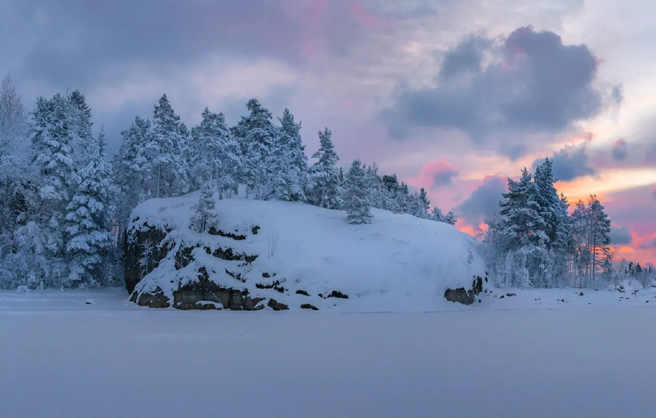 Photo wallpaper winter, the sky, snow, trees, sunset, the evening, Fedor Lashkov
