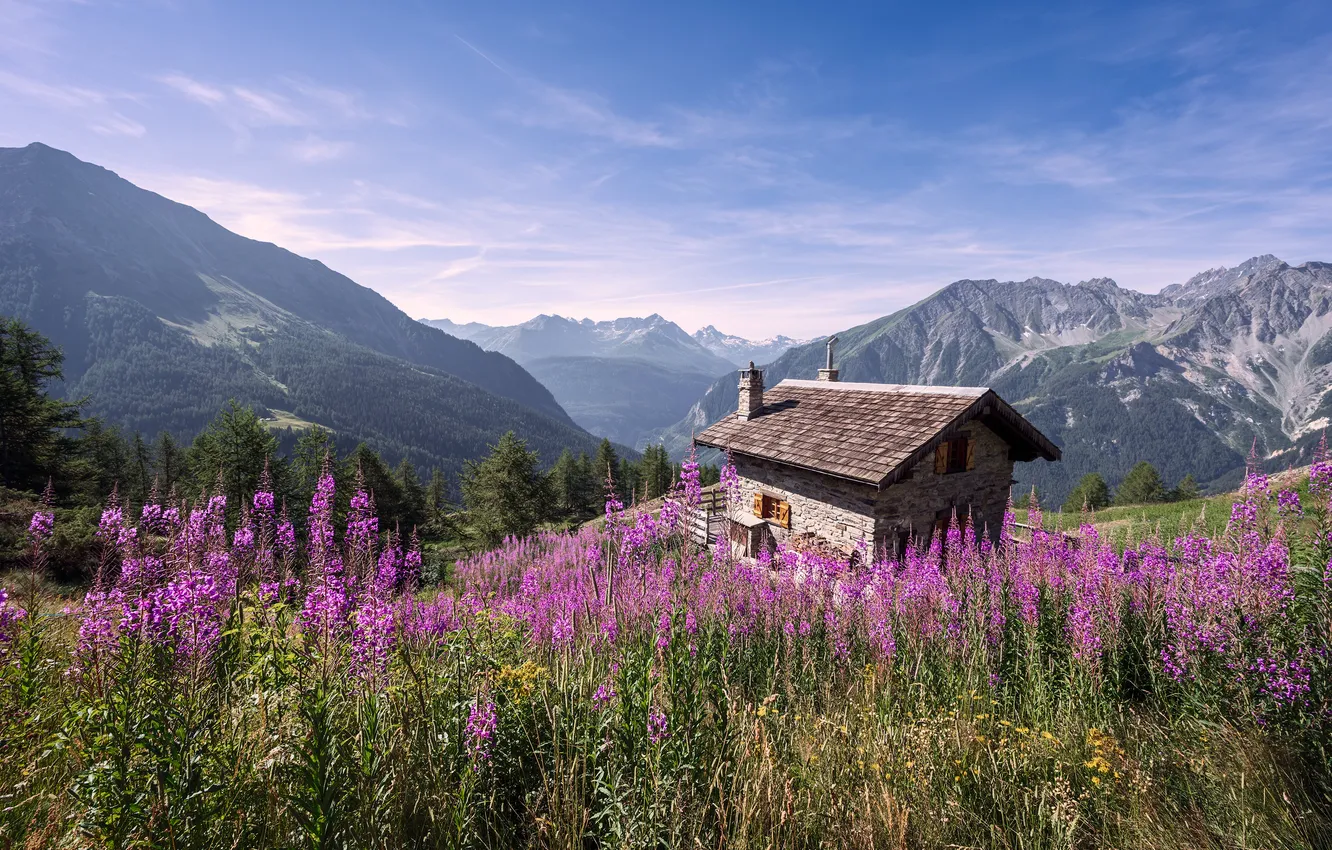 Photo wallpaper field, mountains, house, Ivan-tea